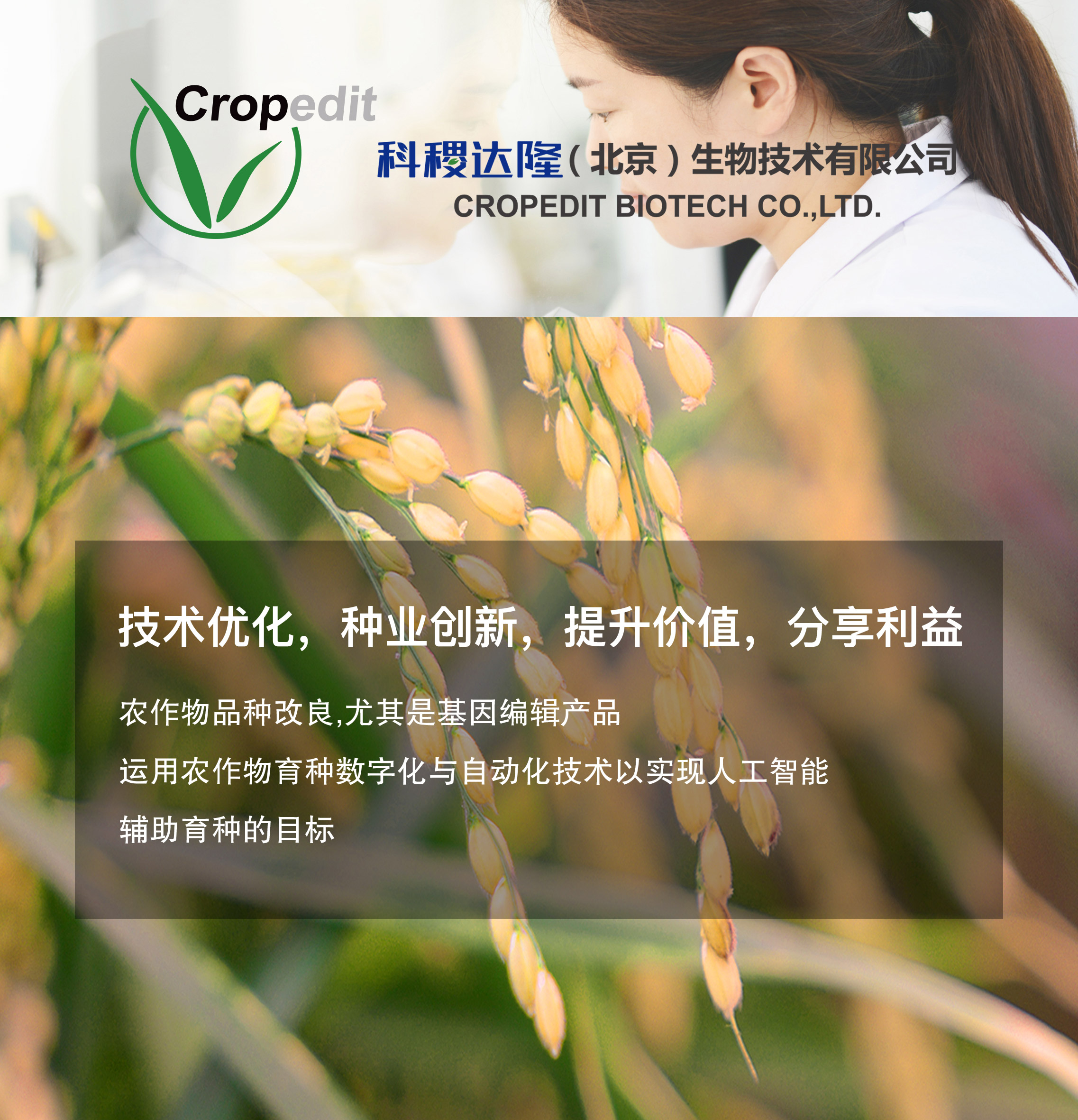 科稷达隆_pg电子游戏试玩