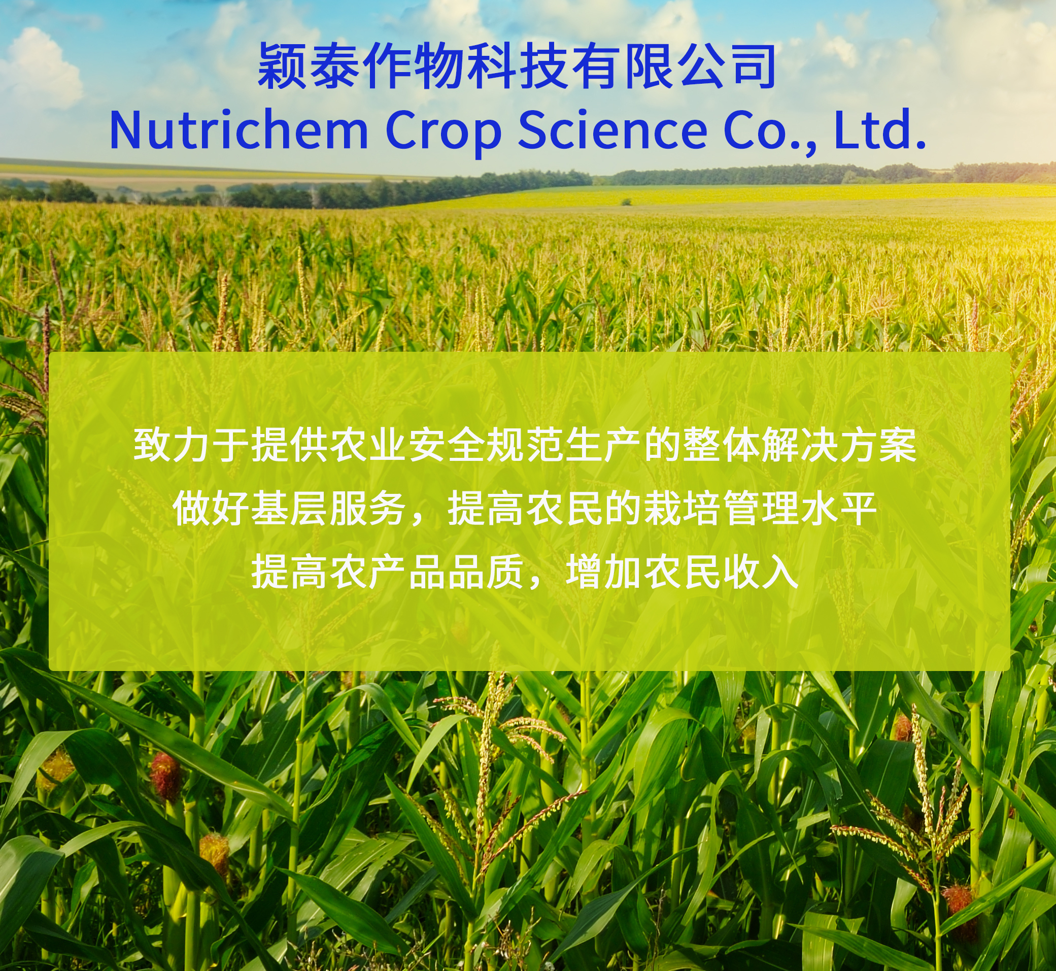 pg电子游戏试玩作物科技_pg电子游戏试玩